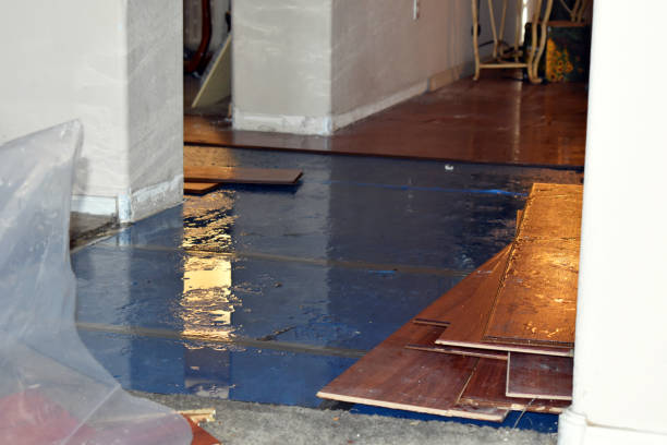Professional Basement Flood Cleanup technician working in Bloomsbury, NJ